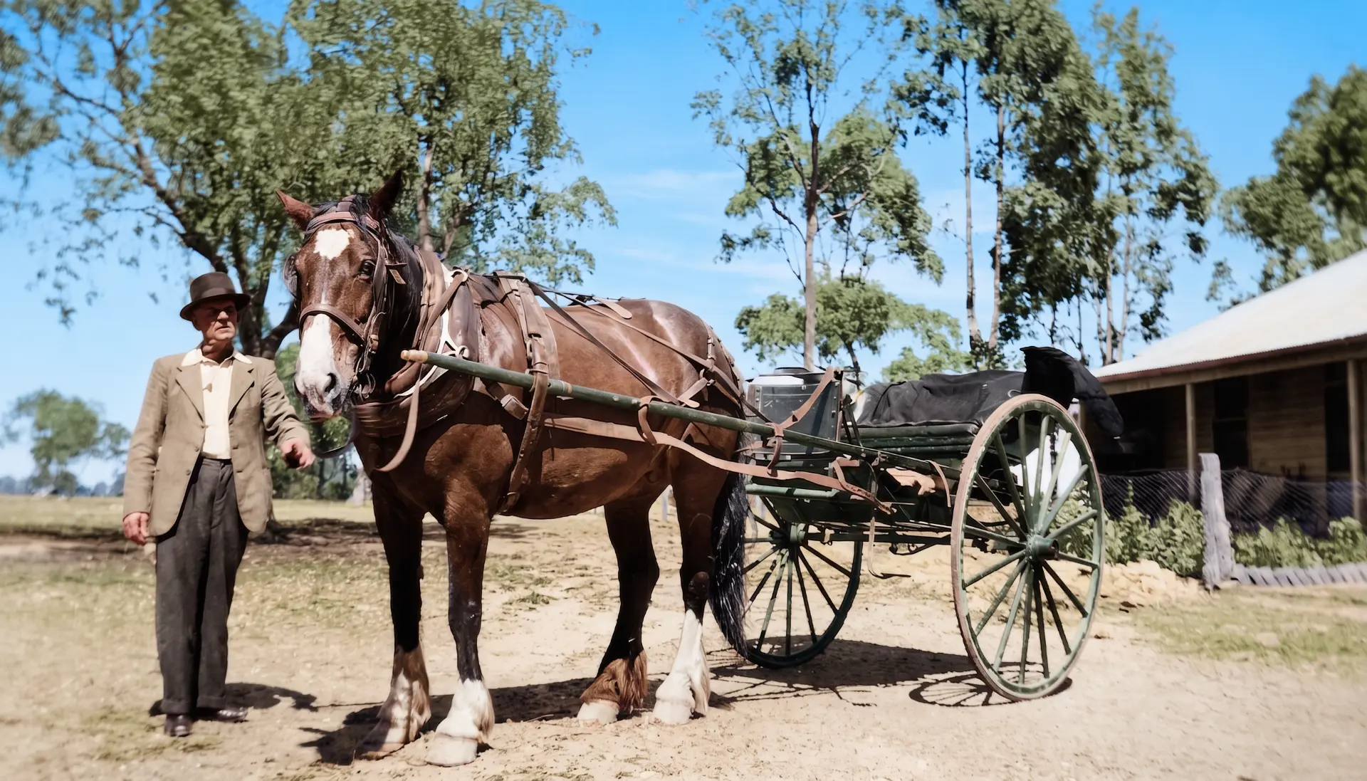 Restored photo after FixPix — Man, horse and sulky — faded sepia snapshot fully colourised. Thanks, Dia S.